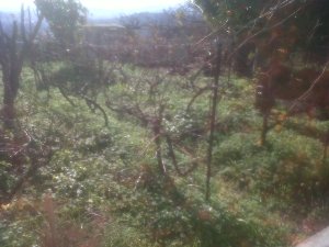 IMG00090-20131214-1243