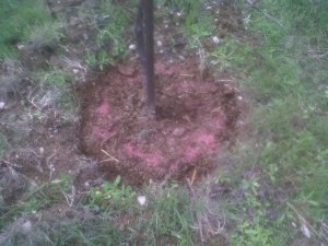 IMG00107-20131214-1354