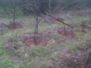 IMG00108-20131214-1354