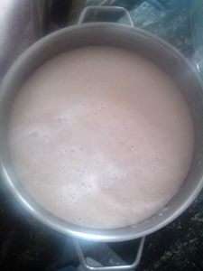 ΖΥΜΟΜΥΚΗΤΑΣ 2