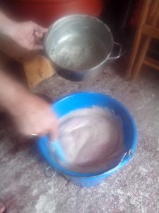 ΖΥΜΟΜΥΚΗΤΑΣ 5