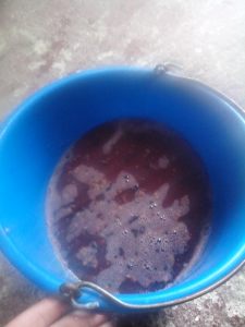 ΖΥΜΟΜΥΚΗΤΑΣ 7