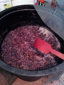 ΚΑΔΟΣ ΜΕ ΣΤΑΦΥΛΟΠΟΛΤΟ 3