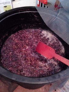 ΚΑΔΟΣ ΜΕ ΣΤΑΦΥΛΟΠΟΛΤΟ 4