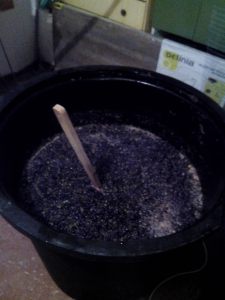 ΚΑΔΟΣ ΜΕ ΣΤΑΦΥΛΟΠΟΛΤΟ 5