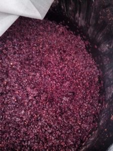 ΣΤΑΦΥΛΟΜΑΖΑ 2