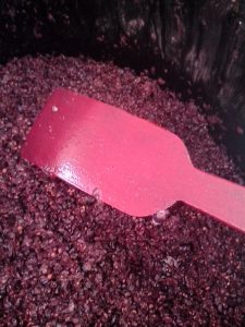 ΣΤΑΦΥΛΟΜΑΖΑ 5