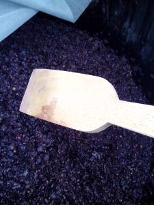 ΣΤΑΦΥΛΟΜΑΖΑ 6