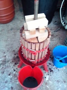 ΣΤΡΟΦΙΛΙΑ 10