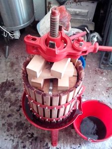 ΣΤΡΟΦΙΛΙΑ 11