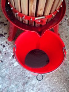 ΣΤΡΟΦΙΛΙΑ 7