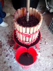 ΣΤΡΟΦΙΛΙΑ 8